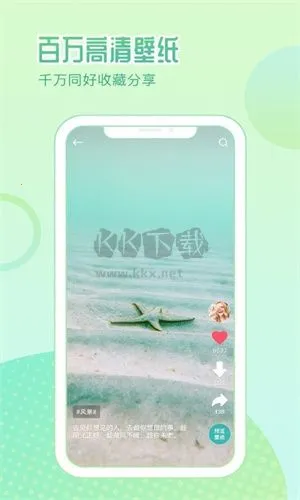 鹦鹉壁纸(壁纸美化软件) 鹦鹉壁纸(壁纸美化软件)