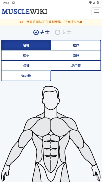 musclewikiٷİv1.0 ׿