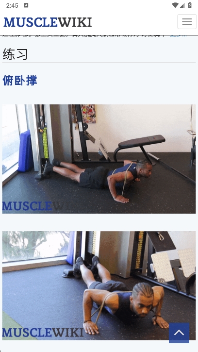 musclewikiٷİv1.0 ׿