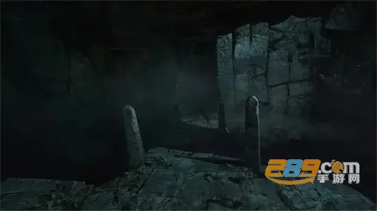 失忆症重生2025官方正版 失忆症重生2025官方正版