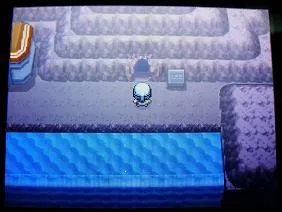 口袋妖怪白金(宝可梦养成) 口袋妖怪白金(宝可梦养成)