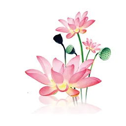 ˮī(๦ܹ)v1.0.8 ٷ