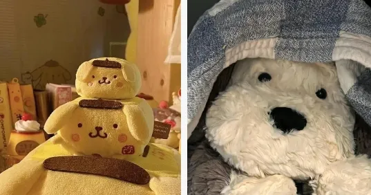 wall壁纸引擎(壁纸美化软件) wall壁纸引擎(壁纸美化软件)