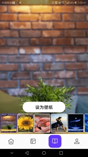 皮皮助手(优化清理) 皮皮助手(优化清理)