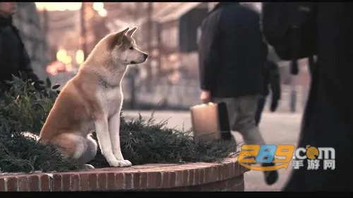 火焰影视(免费影视看) 火焰影视(免费影视看)