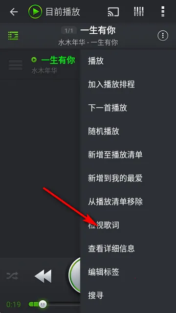PlayerPro2025ٷ°汾