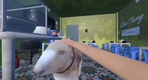 ֵܵĺӷ۲(ðվӪ)v1.0.1 ٷ