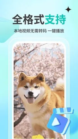 ˽˹Ӱplayer(Ƶ)v1.1.4 Ѱ