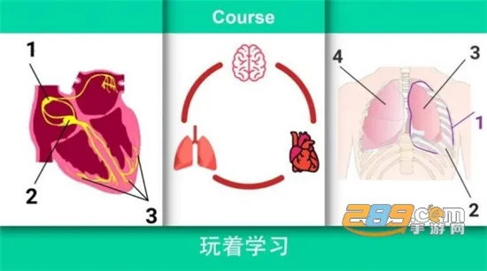 Reanimation inc安装器2025官方正版 Reanimation inc安装器2025官方正版