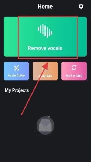 VocalRemover人声分离(音频分离) VocalRemover人声分离(音频分离)