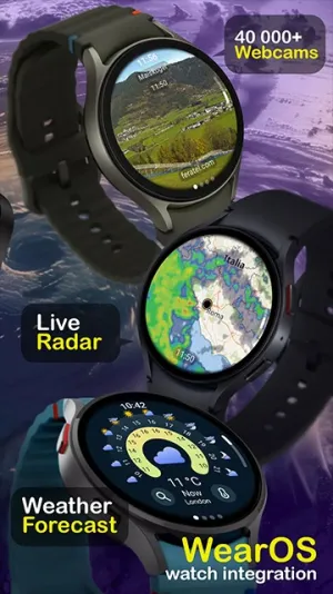 ͼventusky()v36.2 ֻ