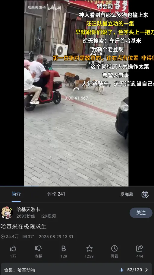 PiliPro2025ٷv1.5.0-1ece71bd9 ٷ