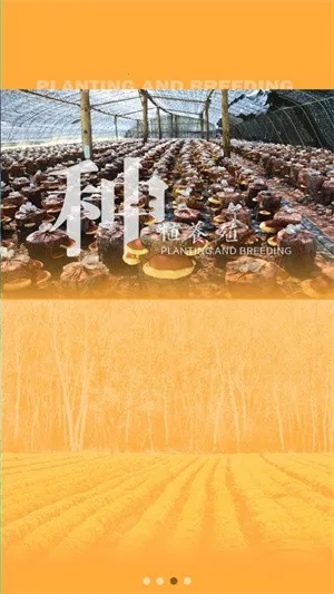 ɭũ(ũۺϷ)v1.0.12 Ѱ