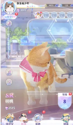 超喵星计划(云养猫游戏) 超喵星计划(云养猫游戏)