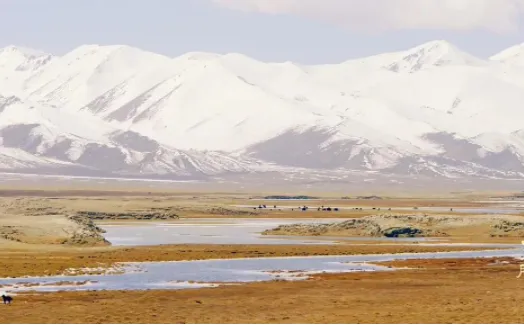 优美图库(头像壁纸软件) 优美图库(头像壁纸软件)