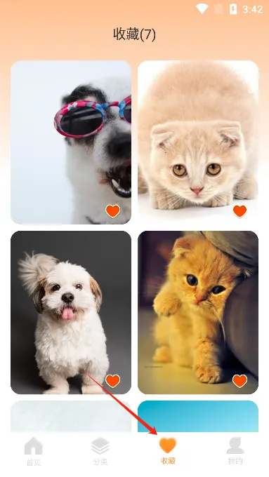 主题盒2025官方正版 主题盒2025官方正版