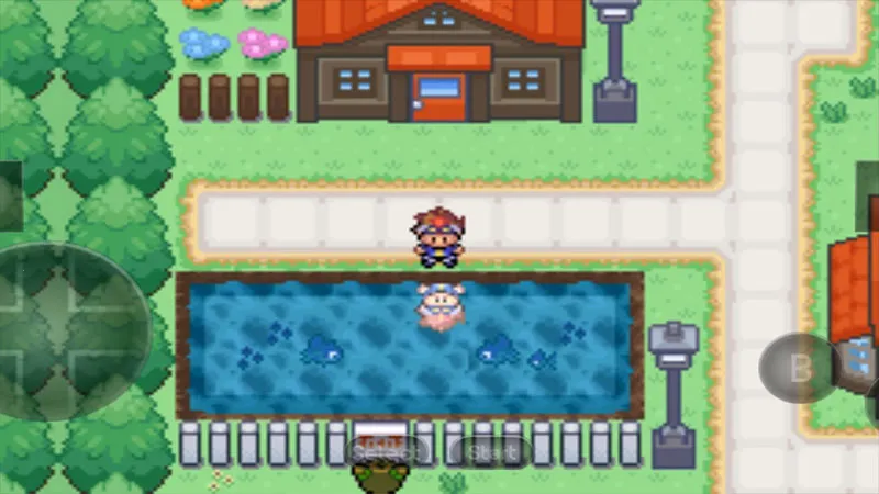 ڴֿڴ׿ֻvjava800 ׿