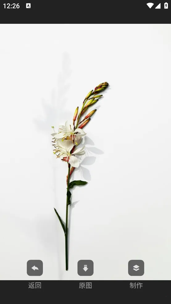 Cutisanֽ2025ذװv4.1.2 ׿