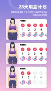 SPAX2025ٷv3.30.3 ֻ