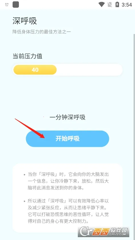 悟空百变壁纸2025官方正版 悟空百变壁纸2025官方正版