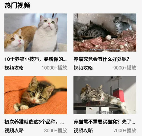我的猫咪(猫咪养成游戏) 我的猫咪(猫咪养成游戏)