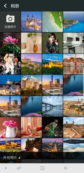 (㹤)v2024.10.300 ֻ