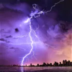 ����Ȼ�ֺ�(����������Ϸ)v0.969 �ֻ���