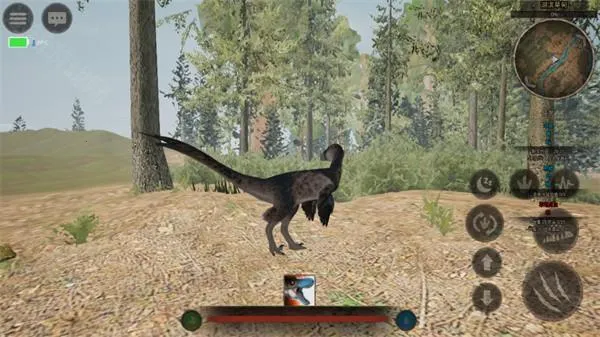 ̩̹֮·(��������ð����)