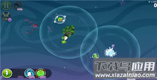 ��ŭ��С����������