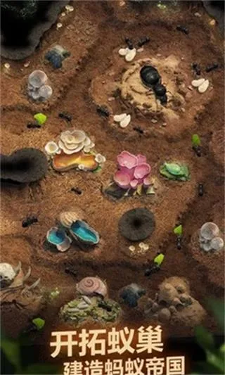 ���ϵ�������(����ģ����Ϸ)