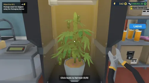 ���ʼ��Ŵ�������ֻ���v3.8 ��׿��