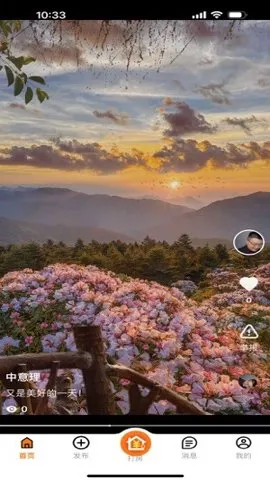 ����yowo�Ƶ�2025�ٷ�����v2.0.4 ��Ѱ�