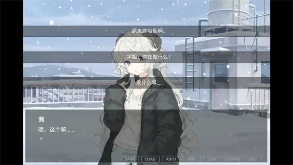 ��֮��2025���ذ�װ