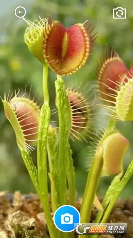 ����ȫ�ܹ�����(���߼�������)v1.0.0 ��׿��