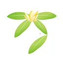 ����̨(�ֲ�ó�׹���)v2.0.0 ��׿��