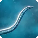 ����ģ����2025���°汾v55.67 �ֻ���