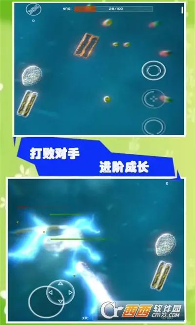 ����ģ����2025���°汾v55.67 �ֻ���