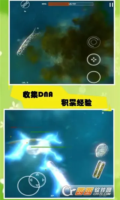 ����ģ����2025���°汾v55.67 �ֻ���