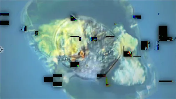 ����ģ����2025���°汾