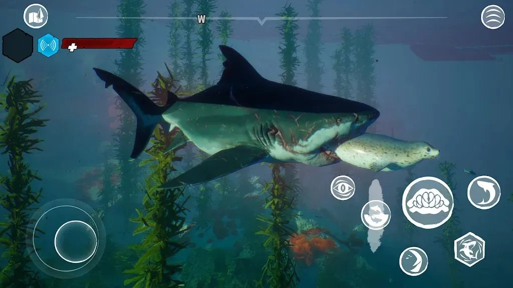 ʳ����ֱװ��׿���ֻ���v1.1 �ٷ�����