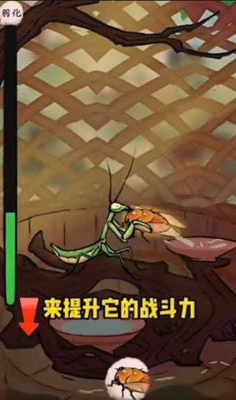 ��Ʒ���(���������Ϸ)