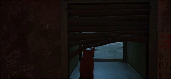 Stray��ʧ2026���°汾