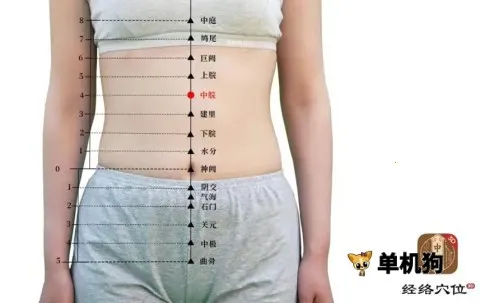 ֪Դ����Ѩλ(��ҽѧϰƽ̨)