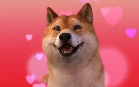 FaceRig�ֻ���