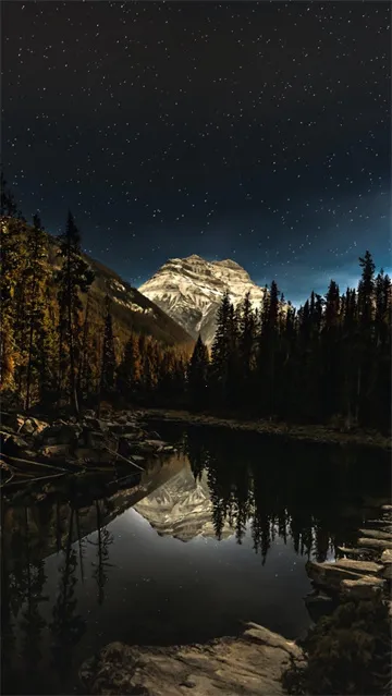 wallcrafT����