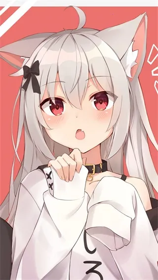 wallcraft��������