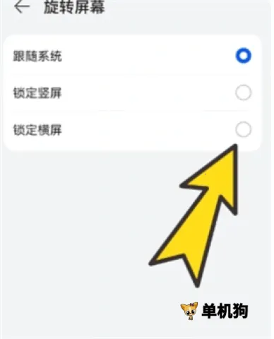 bobo������޹���ȫ��ͨ��ɫ��