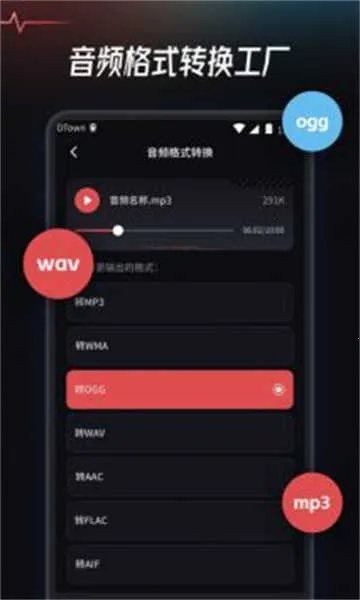 ��Ƶ��ȡת������v1.0.0 ��׿��