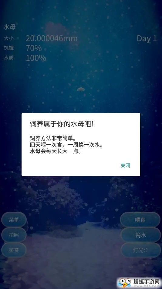养育水母的治愈 养育水母的治愈