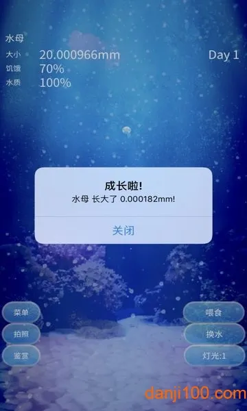 养育水母的治愈 养育水母的治愈